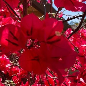 Meet your Posher, Caterina